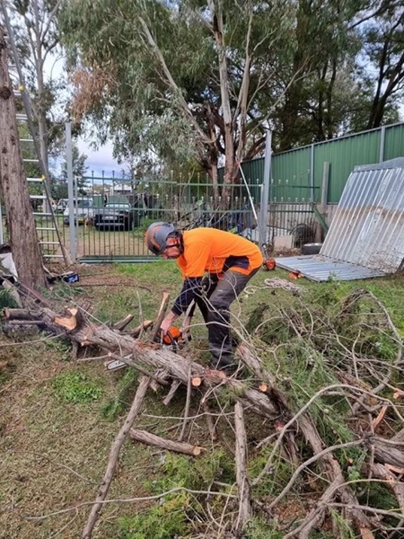 A worker in high visibility gear and a helmet cutting up a fallen tree with a chainsaw