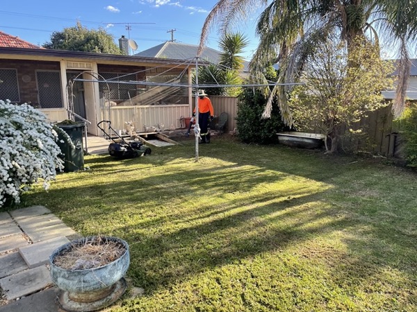 A mown back lawn with long afternoon shadows across it