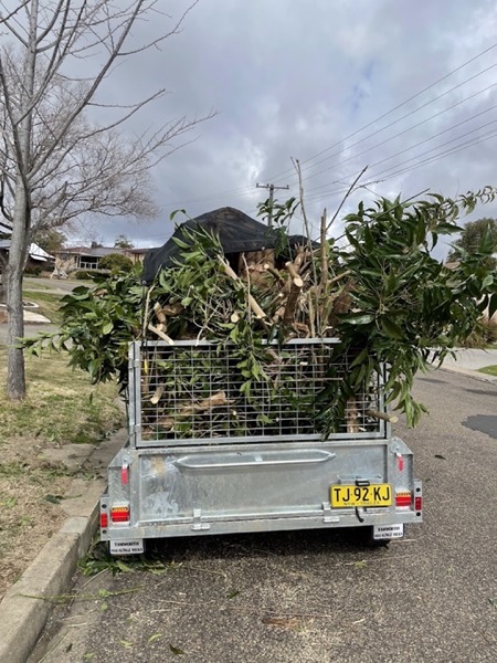 A caged trailer loaded with cut branches parked at the kerb