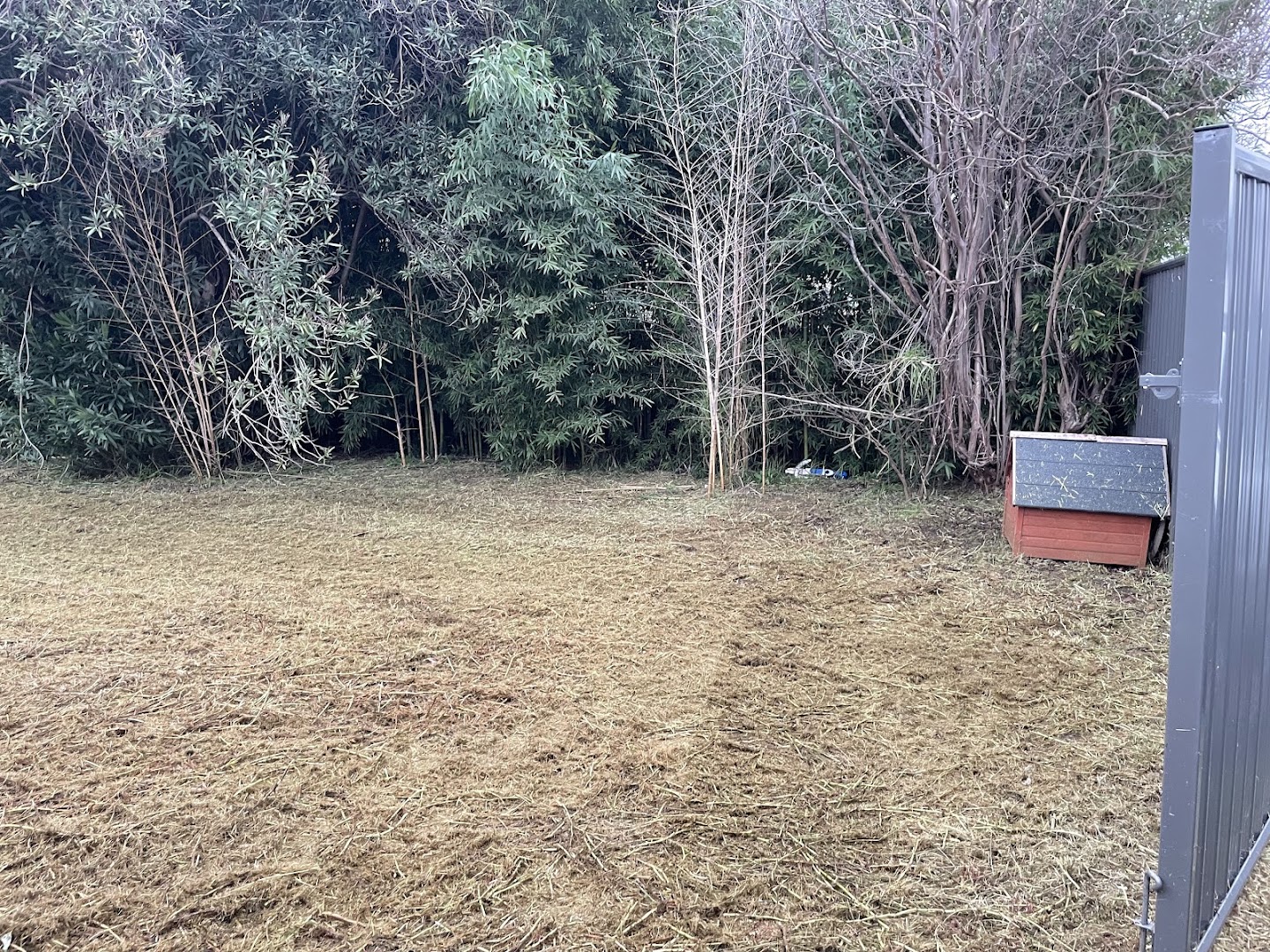 A large block slashed back with the cut material spread across the ground
