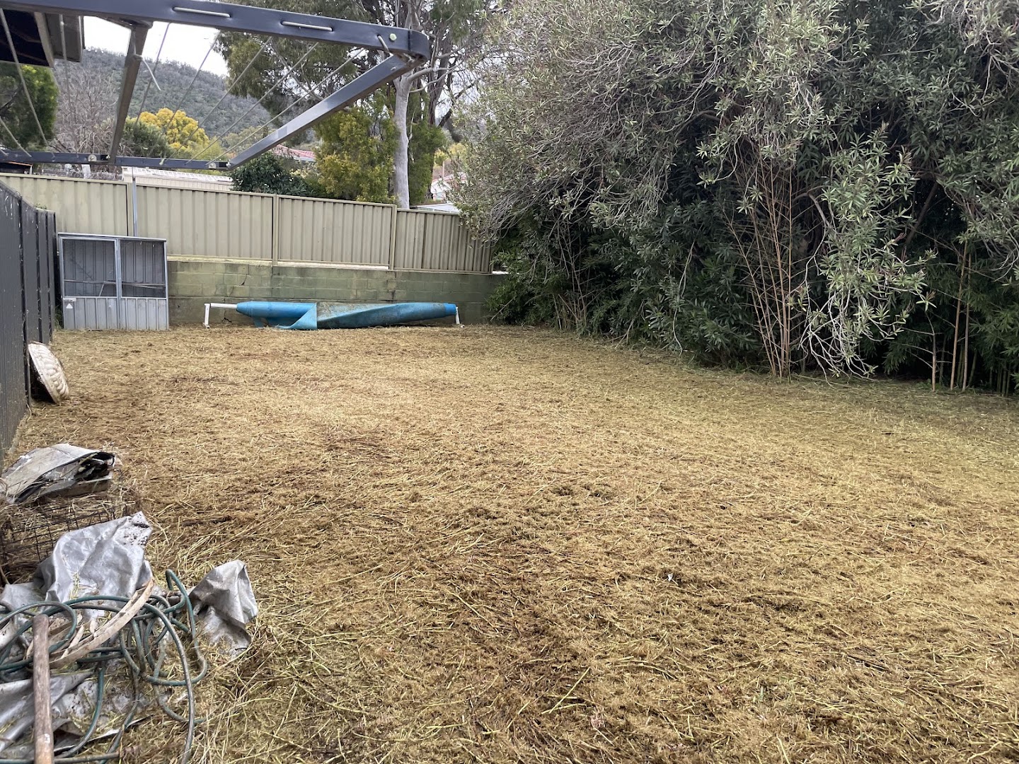 A cleared back yard raked down to bare ground beside a shed