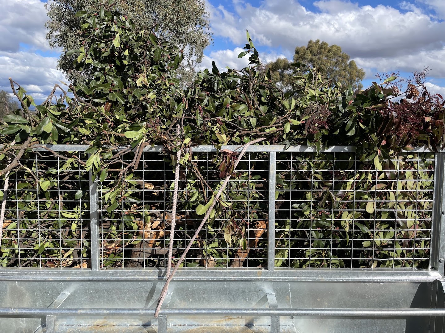 A caged trailer stacked above the rails with cut branches under a blue sky