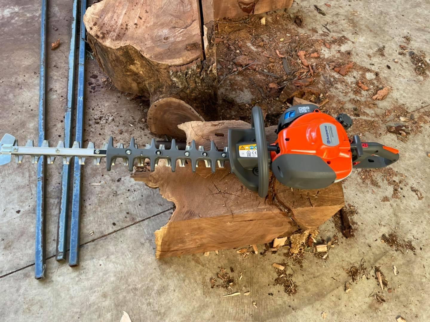 A hedge trimmer and hand tools laid out on a freshly cut timber slab