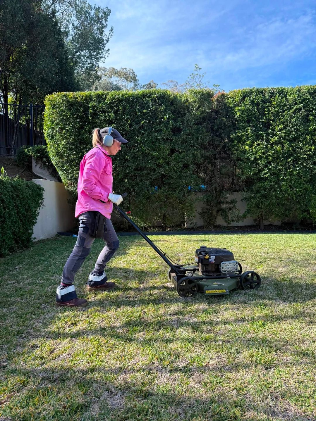 A worker in a pink high visibility shirt and ear muffs pushing a mower across a lawn in front of a tall clipped hedge